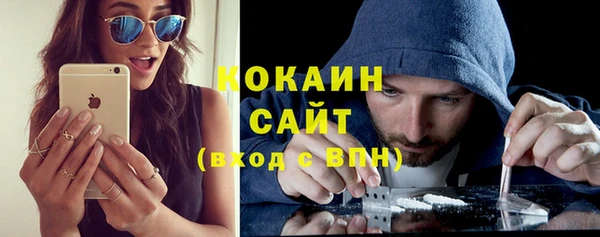 твердый Богородицк
