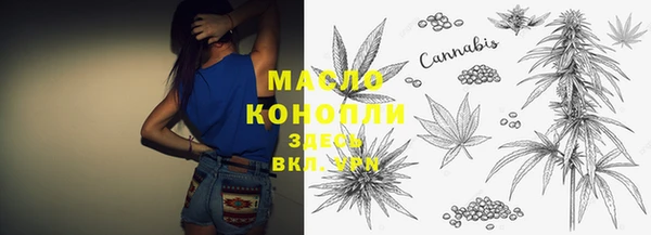 спайс Бородино