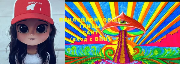 твердый Богородицк